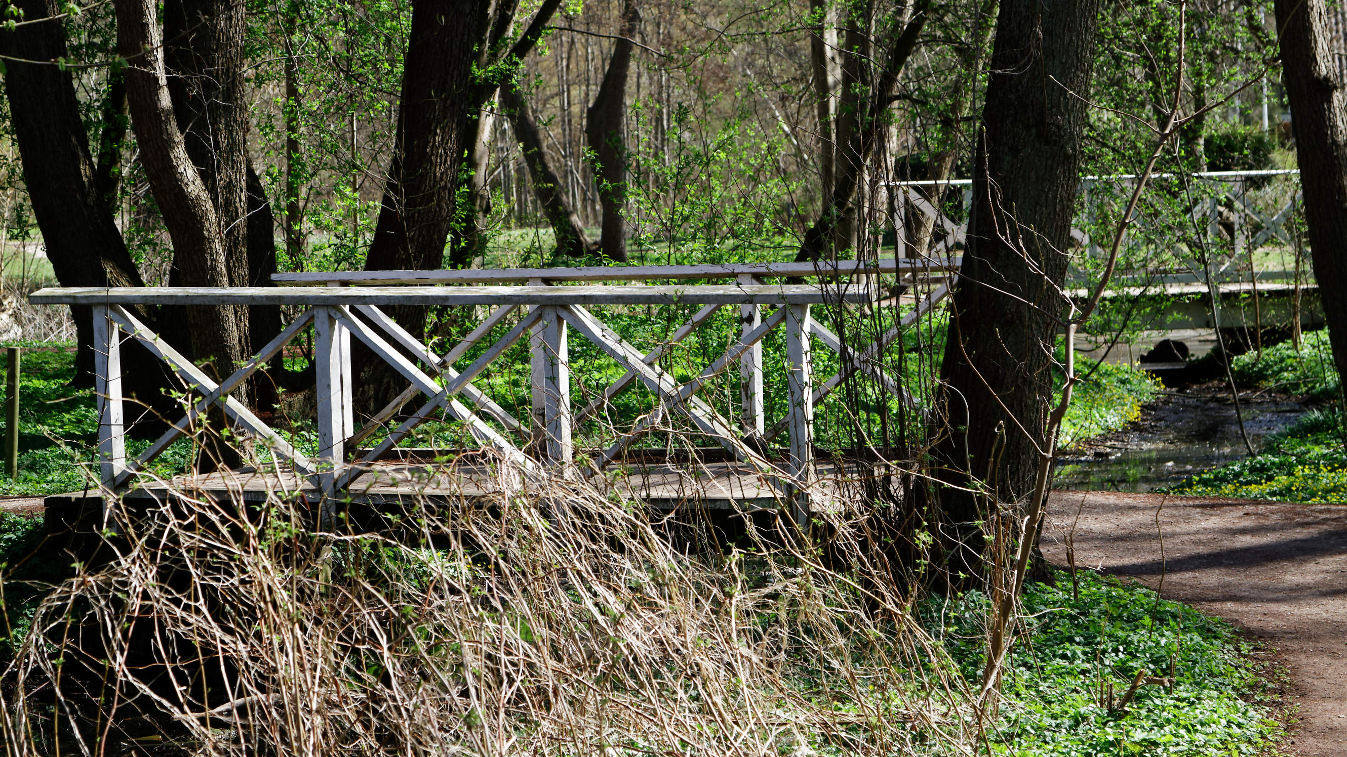 20210420 Lyngby Sø 83